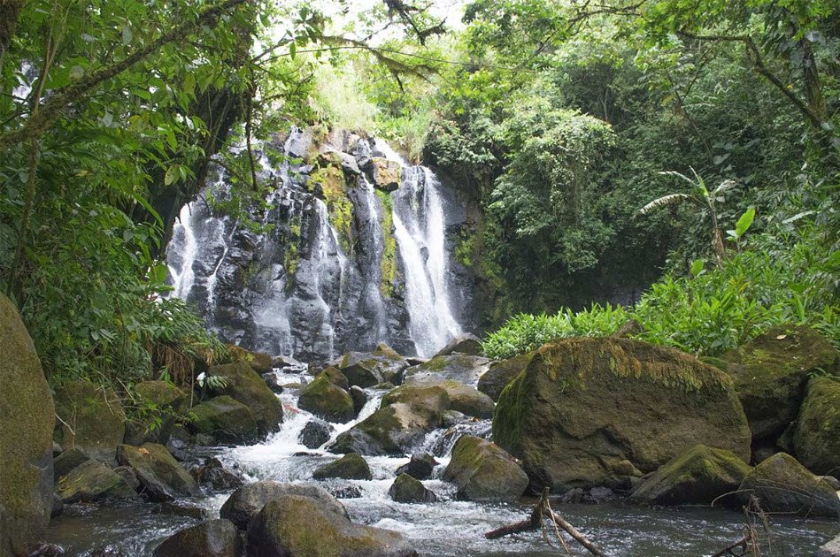 Peñas Blancas Massif, Jinotega Department, Nicaragua